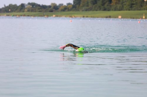 IMG 9781