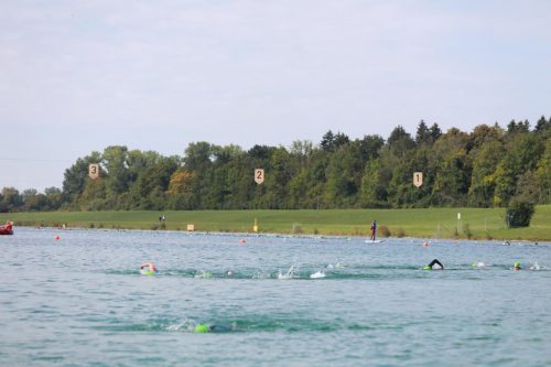 IMG 9825