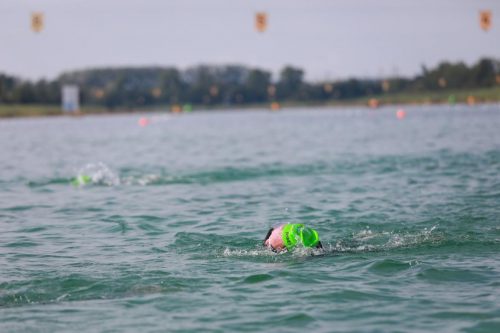IMG 9849