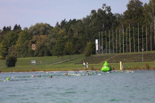 IMG 9850