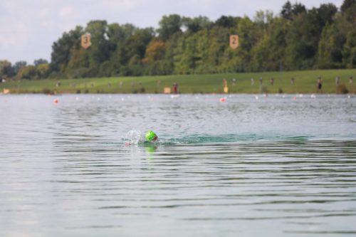 IMG 0293