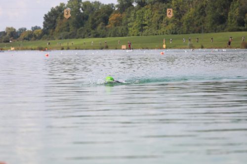 IMG 0294