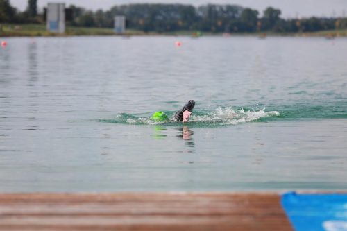 IMG 0297