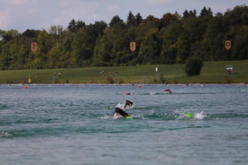 IMG 0364